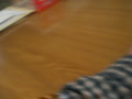 動画:姉ちゃんおかえり2
